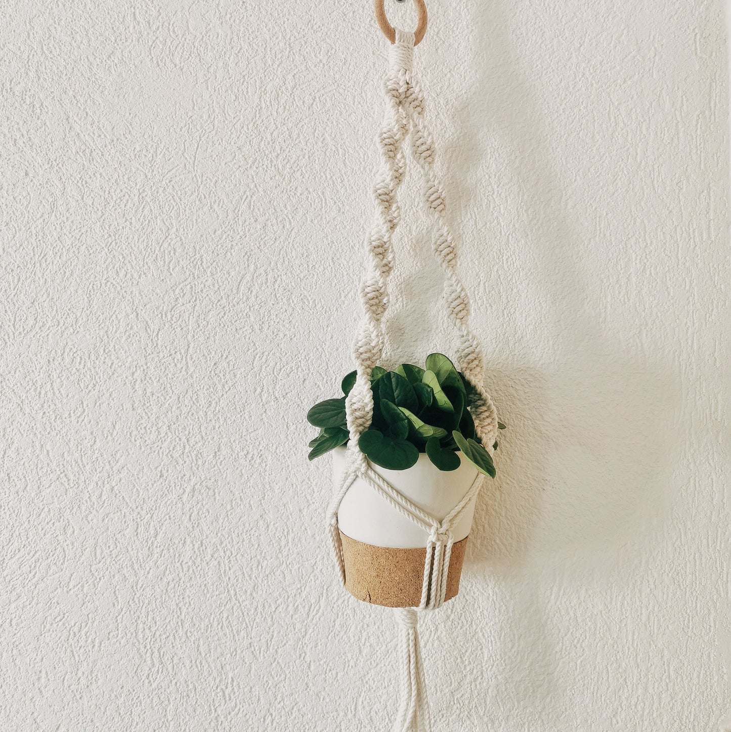 Plant hanger AUGUSTE