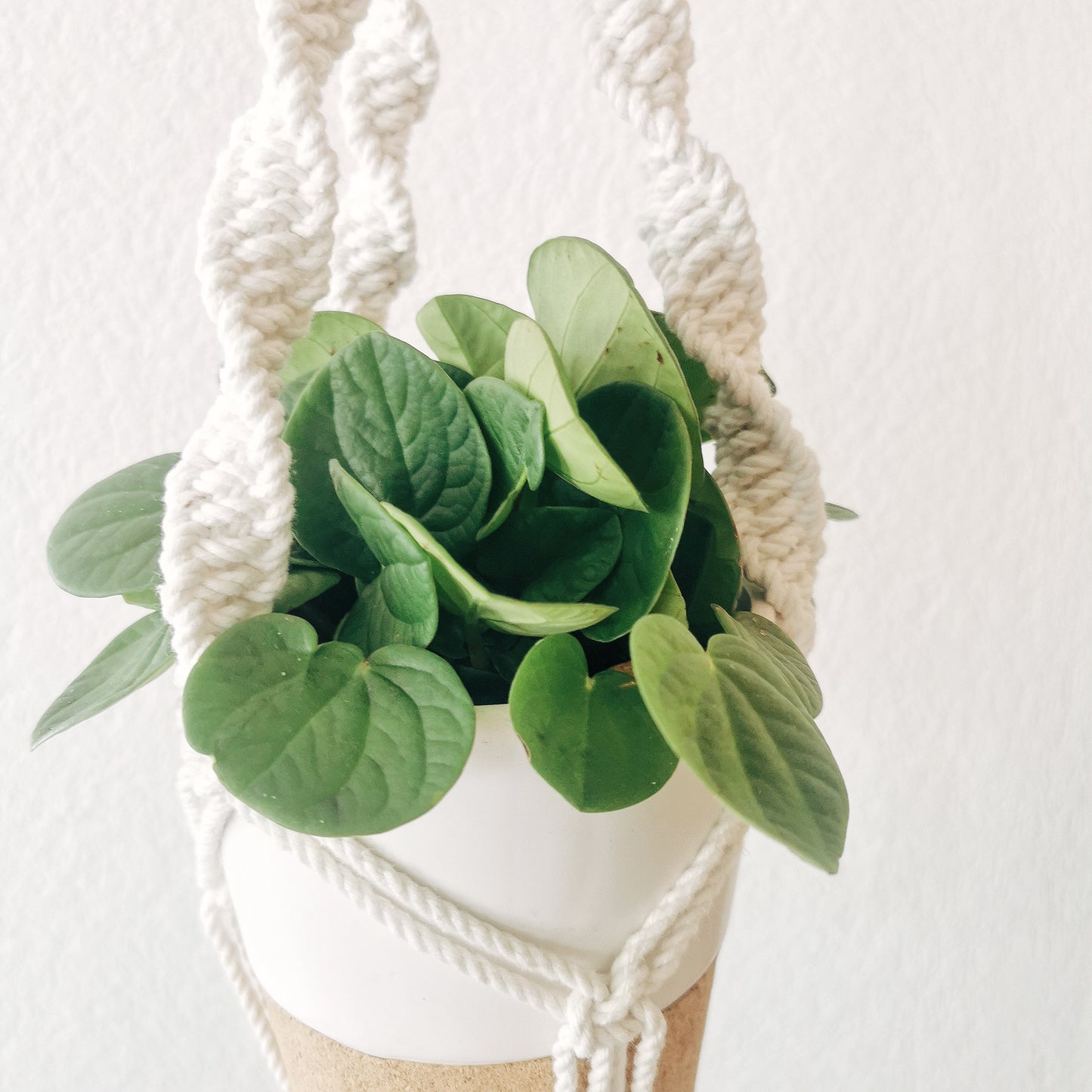 Plant hanger AUGUSTE