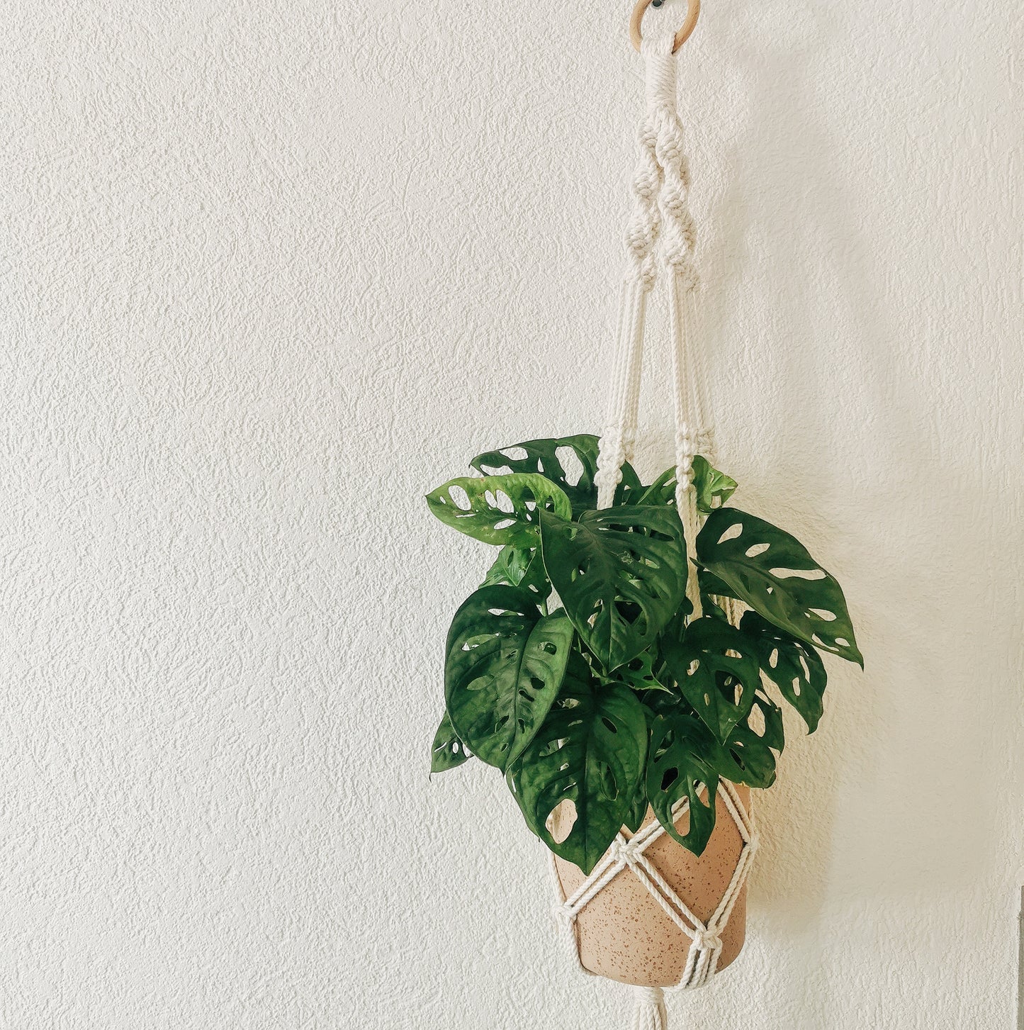 Plant hanger BASILE