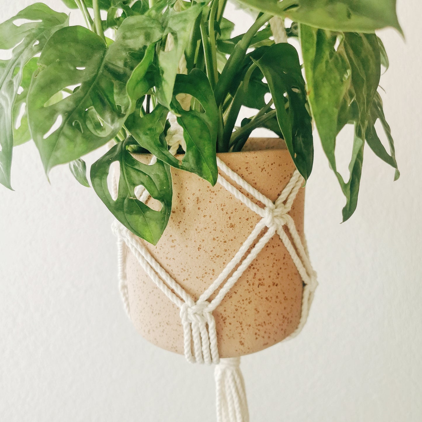 Plant hanger BASILE