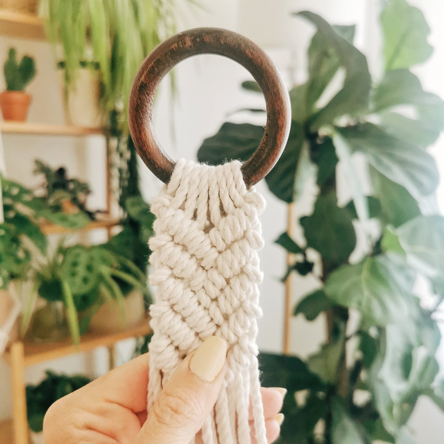 Plant hanger DOUGLAS