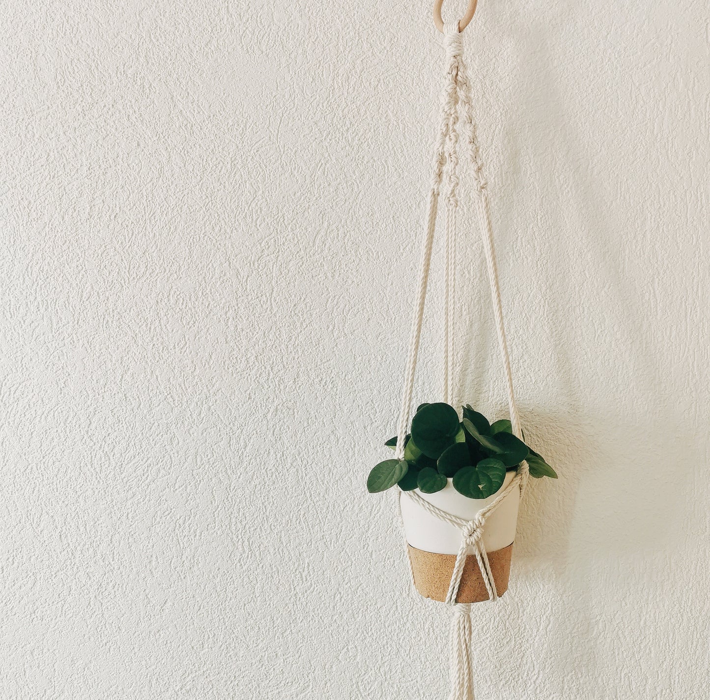 Plant hanger EMILE