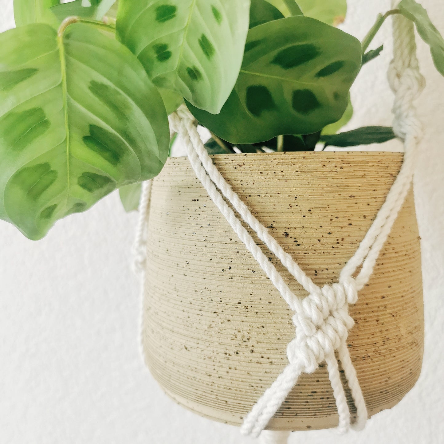 Plant hanger EMILE