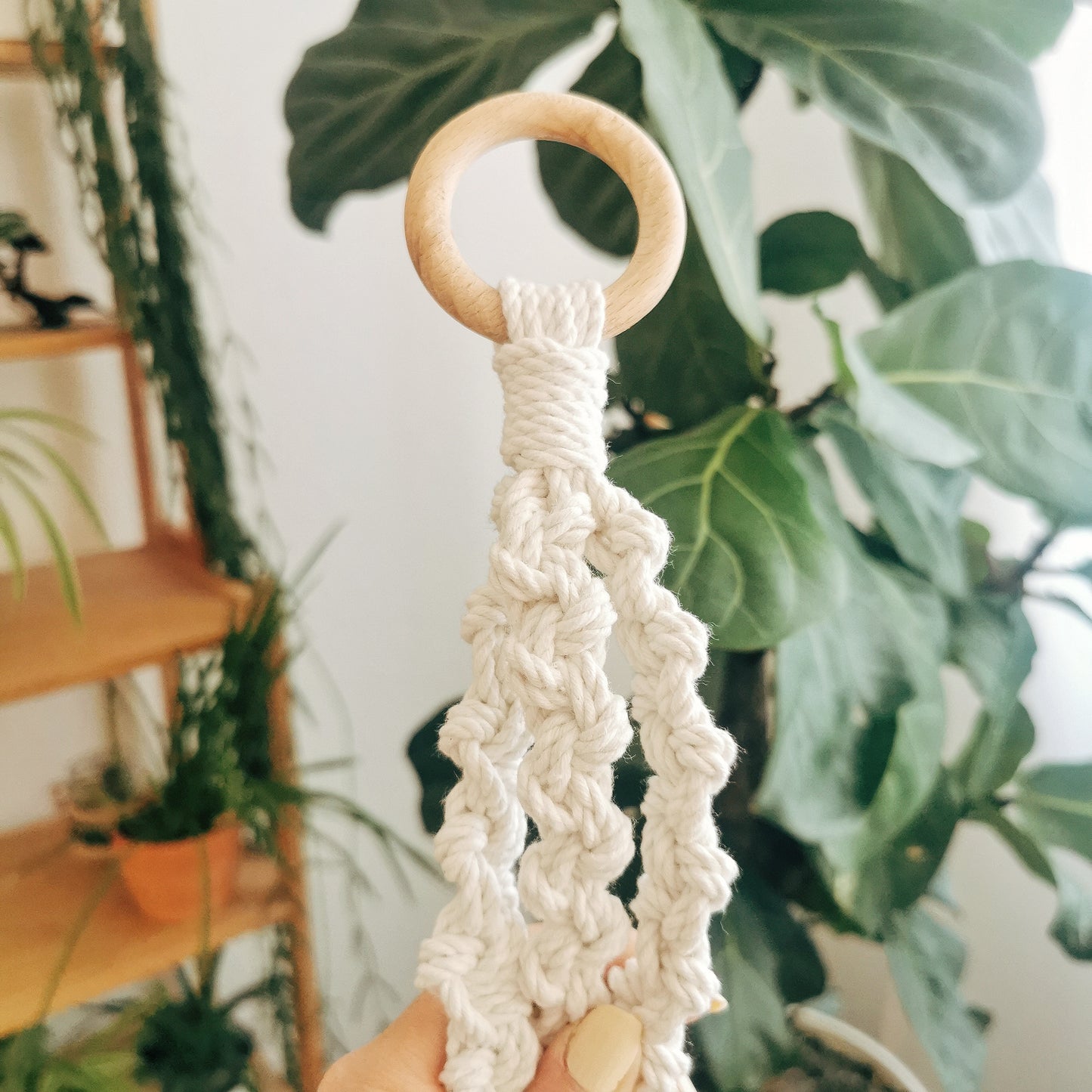 Plant hanger EMILE