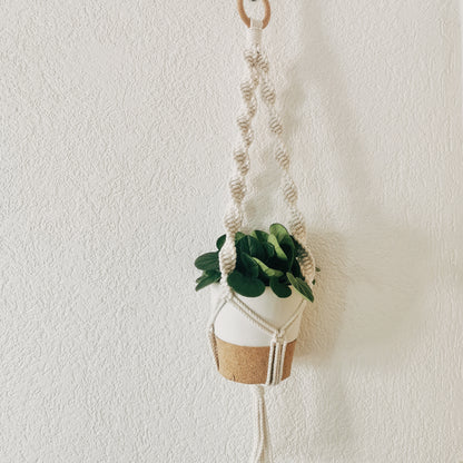 Plant hanger AUGUSTE